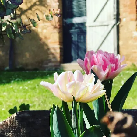 Pensión L'apouticayre Montaut (Haute-Garonne)