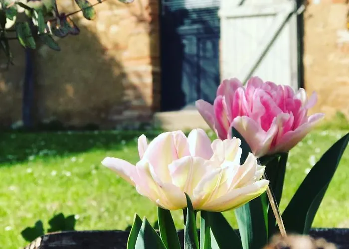 게스트하우스 L'apouticayre Montaut (Haute-Garonne)